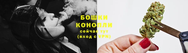 соль ск Аркадак
